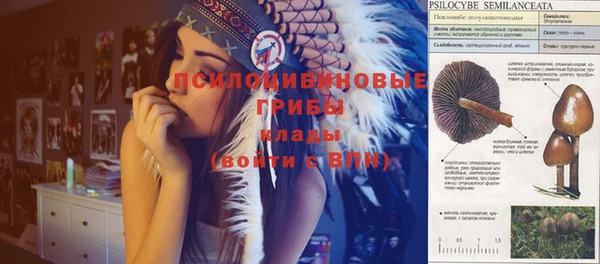 меф Весьегонск