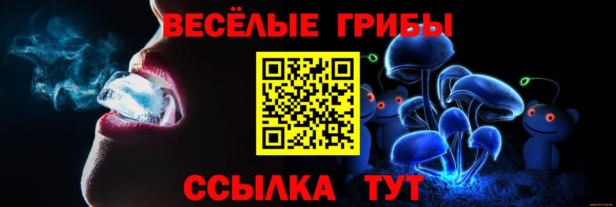 Псилоцибиновые грибы прущие грибы Строитель