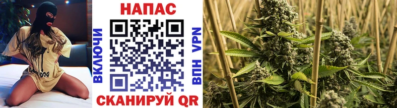 Конопля LSD WEED  KRAKEN сайт  Строитель 